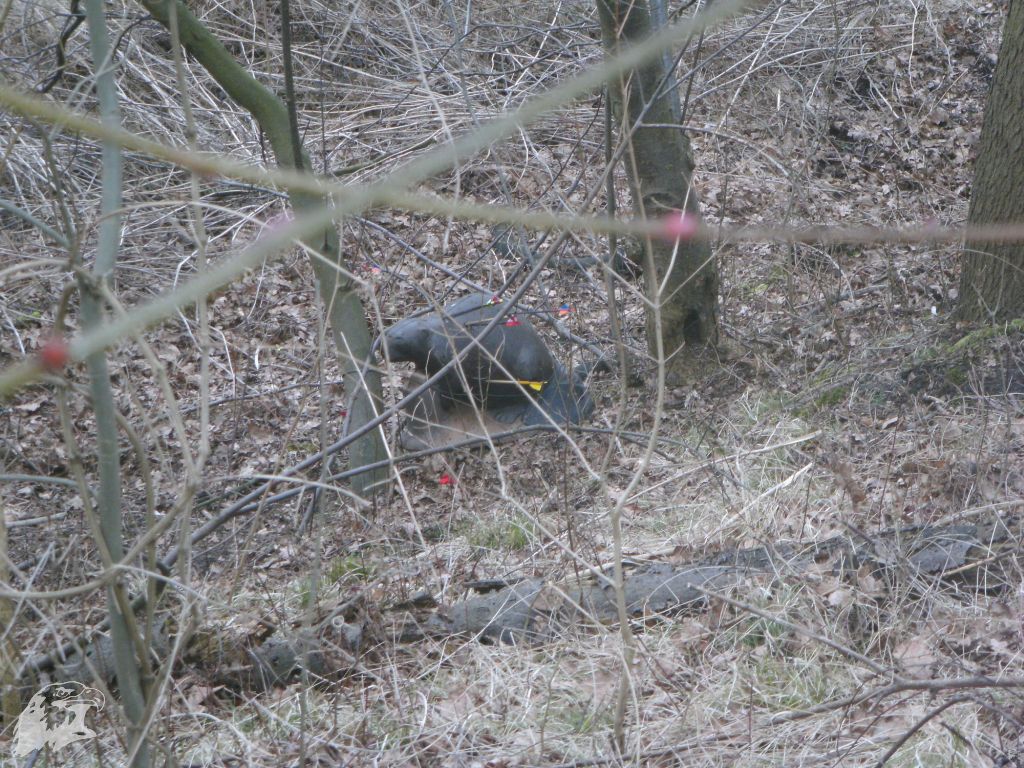 JBC-Turnier-2010-03-13 09-22-01