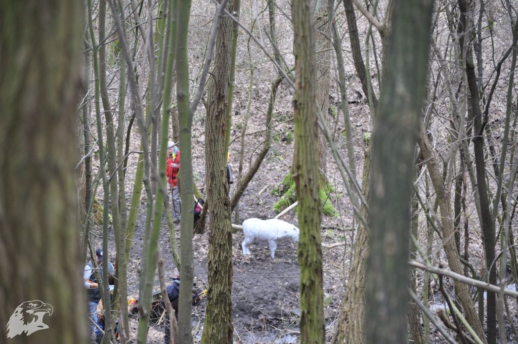 JBC-Turnier-2010-03-13 09-48-43