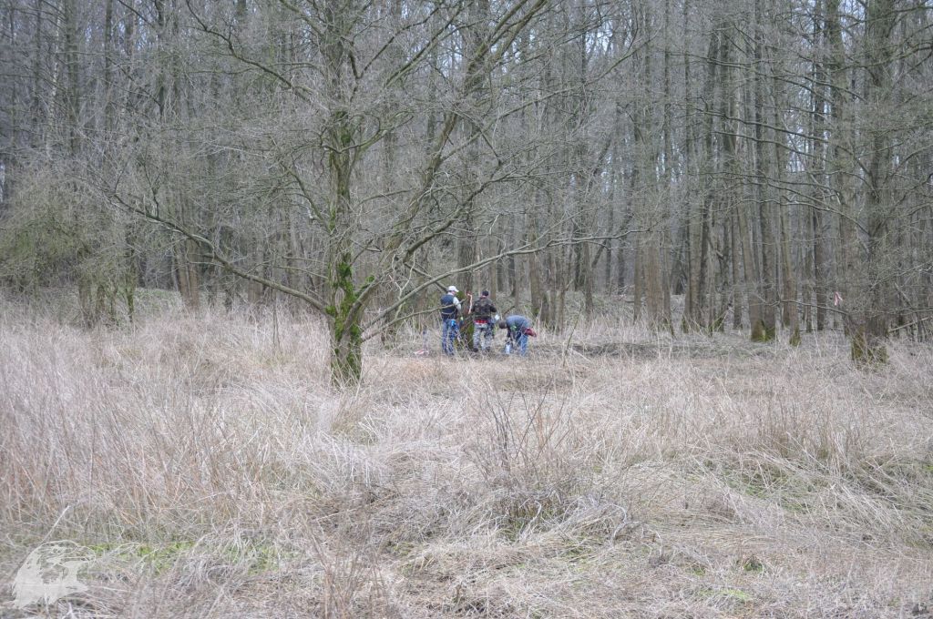 JBC-Turnier-2010-03-13 10-20-22