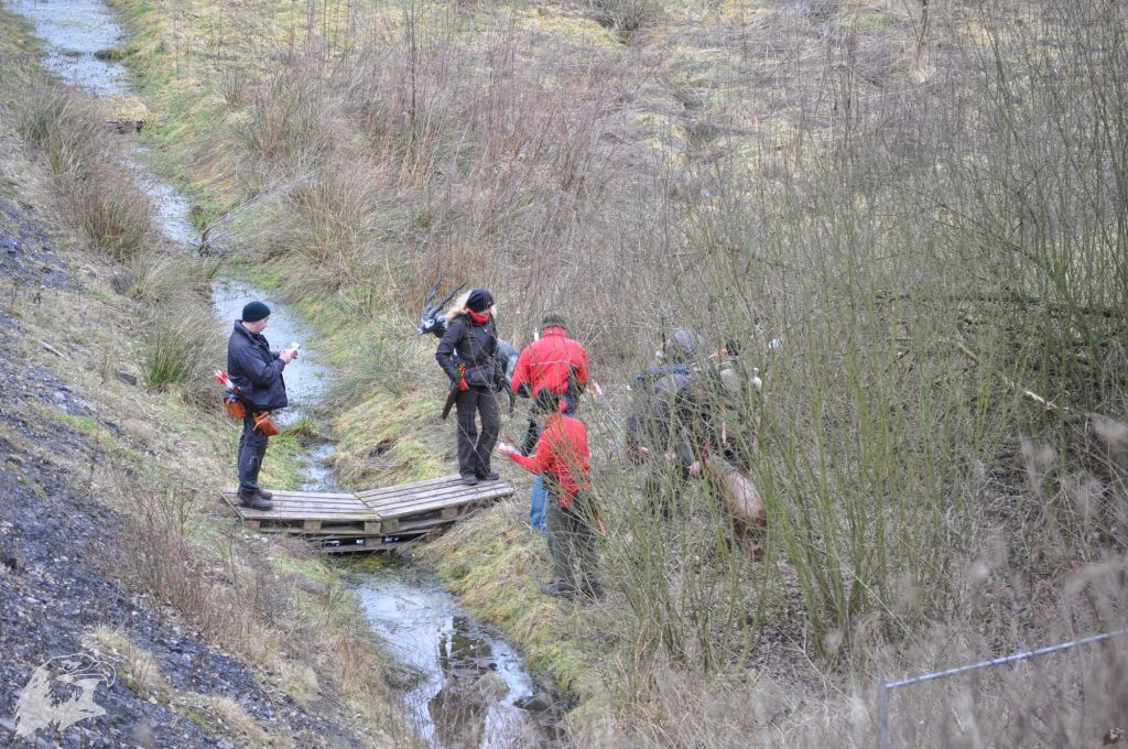 JBC-Turnier-2010-03-13 10-38-06