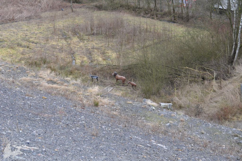 JBC-Turnier-2010-03-13 11-38-16