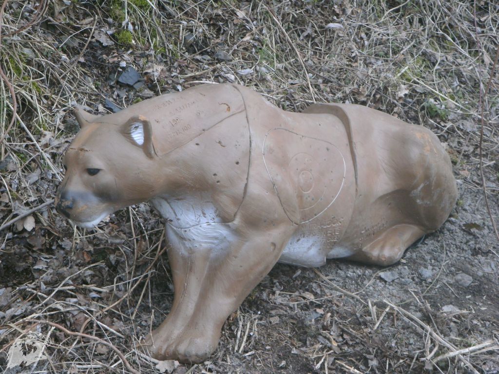 JBC-Turnier-2010-03-13 11-51-21