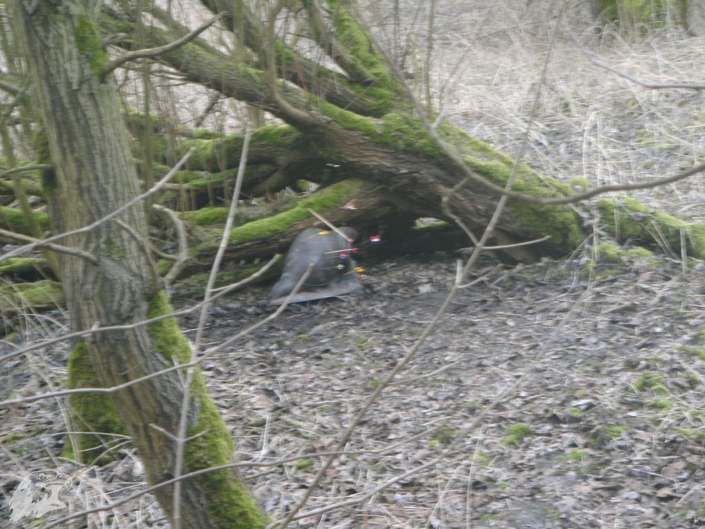 JBC-Turnier-2010-03-13 12-07-39