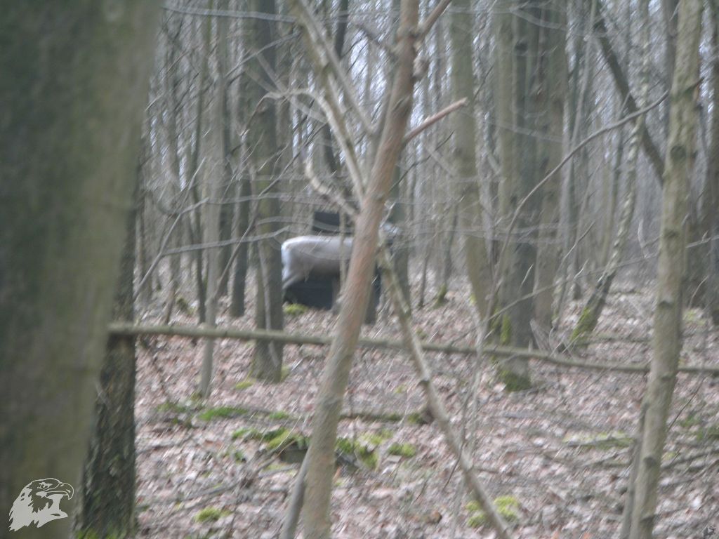 JBC-Turnier-2010-03-13 12-43-05