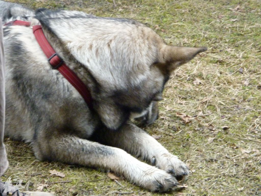 JBC-Turnier-2010-03-13 13-36-00