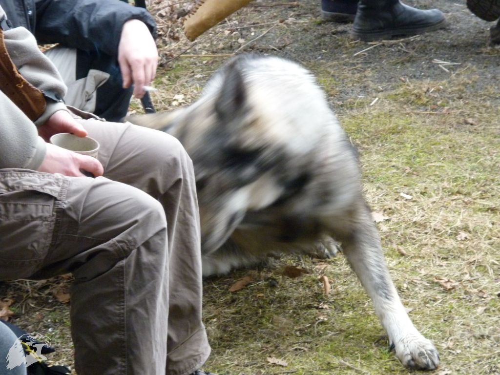 JBC-Turnier-2010-03-13 13-36-21