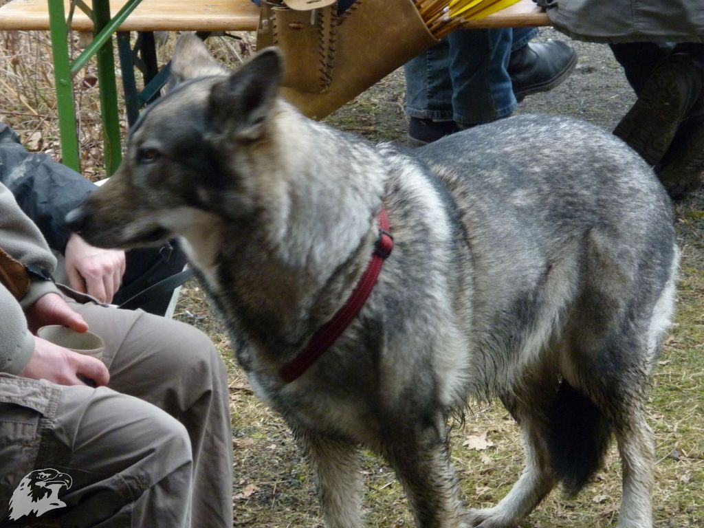 JBC-Turnier-2010-03-13 13-36-35