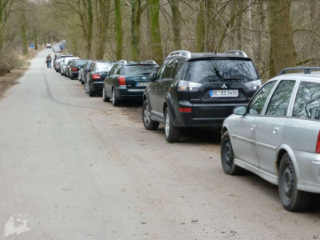 JBC-Turnier-2010-03-13 16-15-26