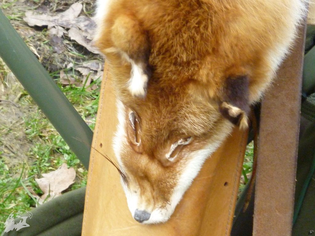 JBC-Turnier-2010-03-13 16-36-55