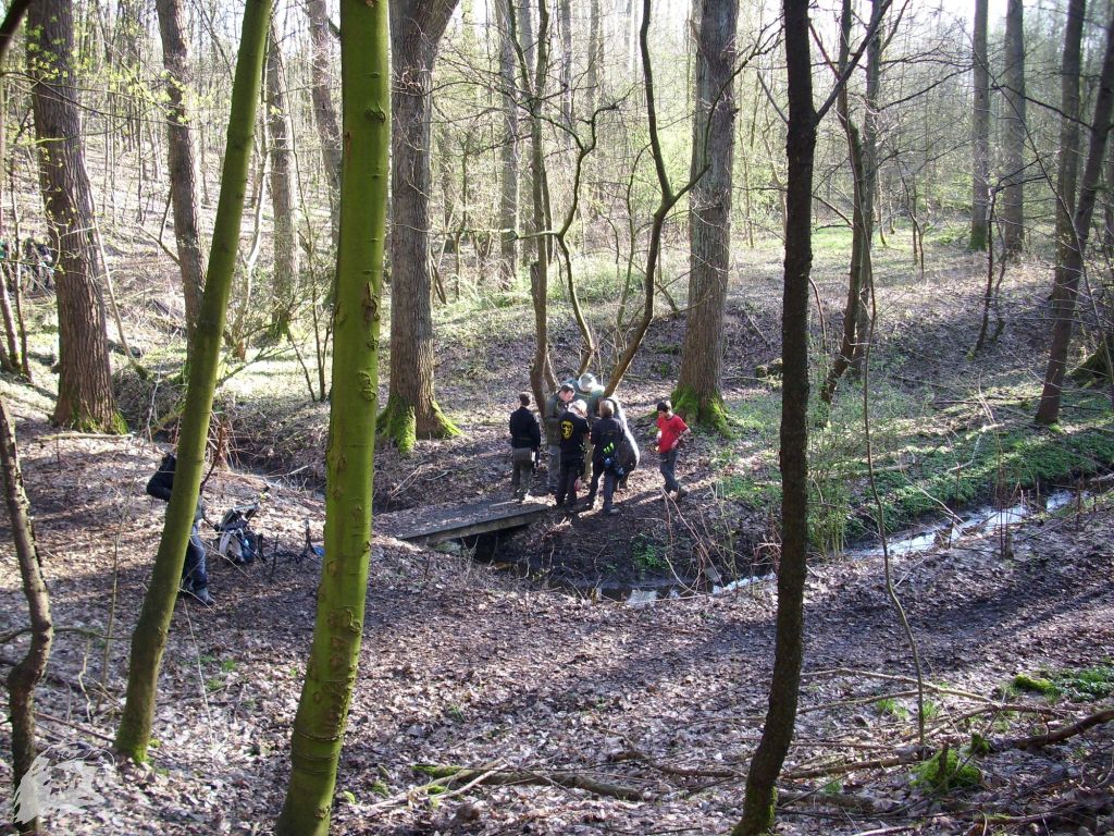 JBC-Turnier-2011-04-02 08-42-42