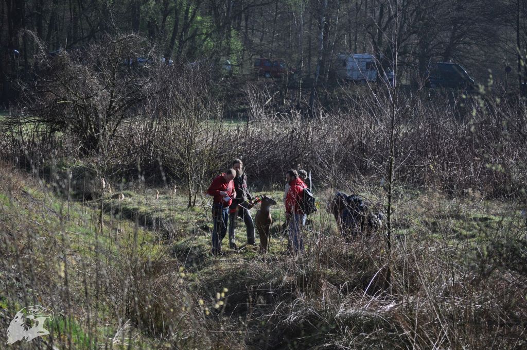 JBC-Turnier-2011-04-02 08-43-39