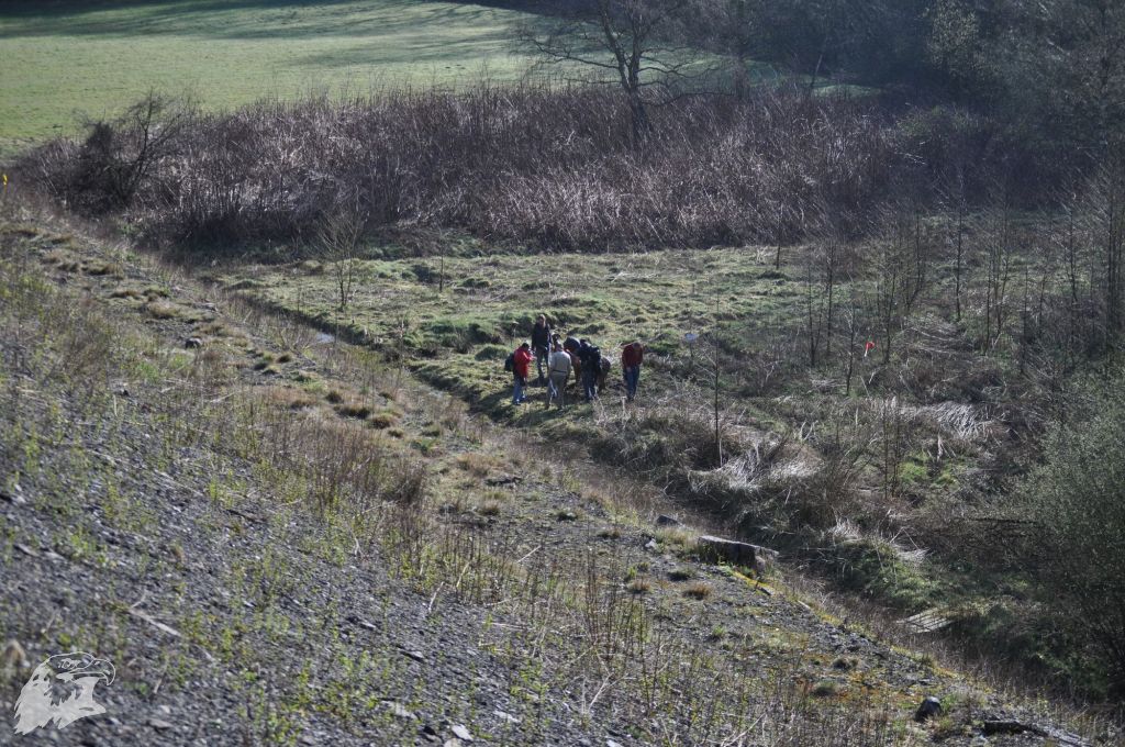 JBC-Turnier-2011-04-02 08-45-06