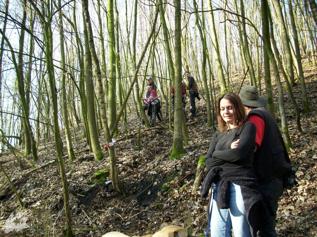 JBC-Turnier-2011-04-02 08-51-27