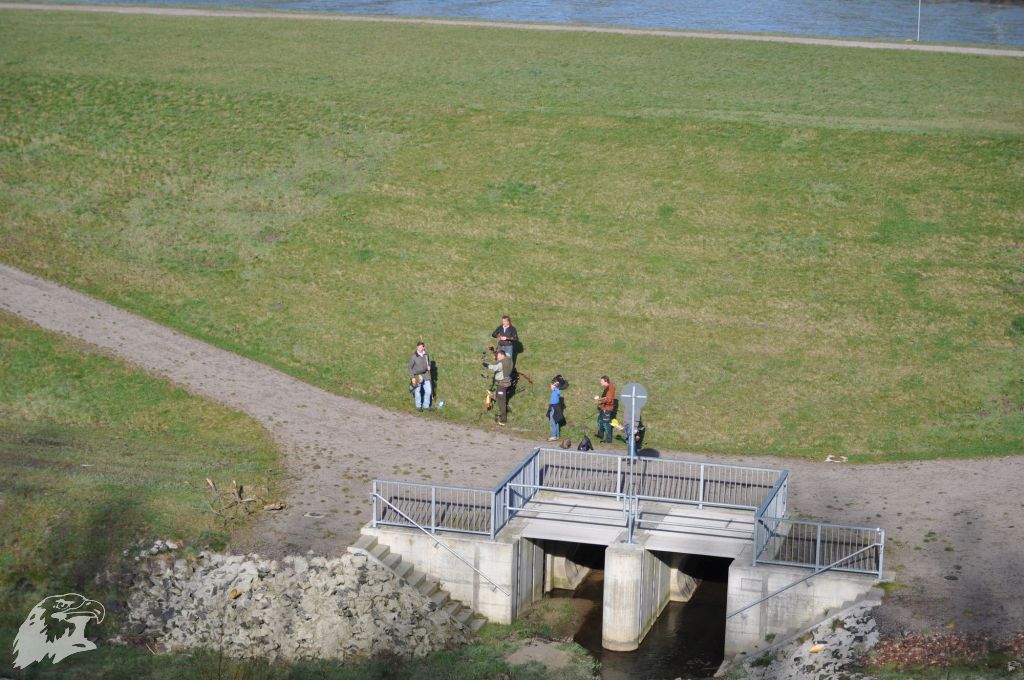 JBC-Turnier-2011-04-02 08-51-29