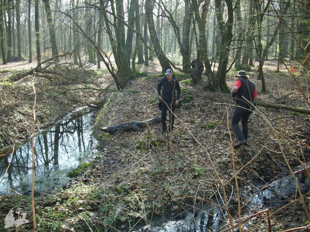 JBC-Turnier-2011-04-02 08-54-44