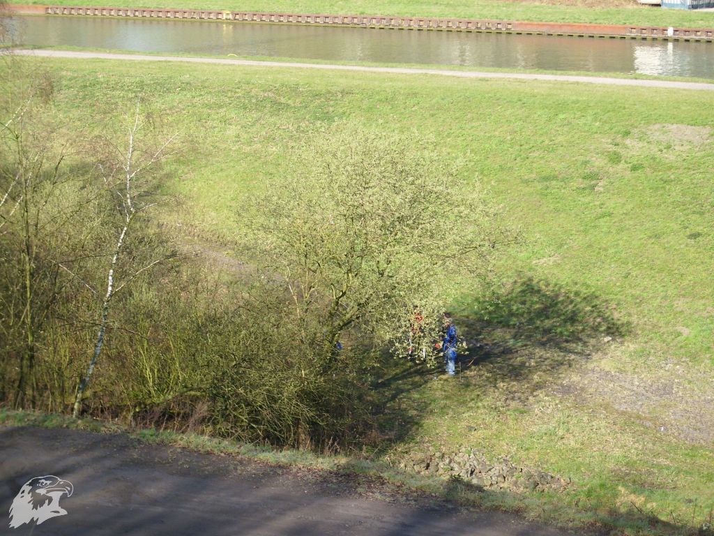 JBC-Turnier-2011-04-02 09-14-34