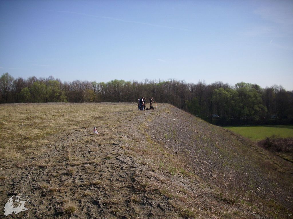 JBC-Turnier-2011-04-02 09-17-13