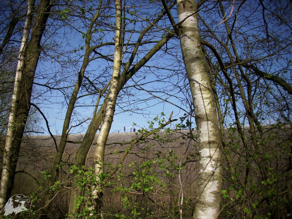 JBC-Turnier-2011-04-02 10-24-29