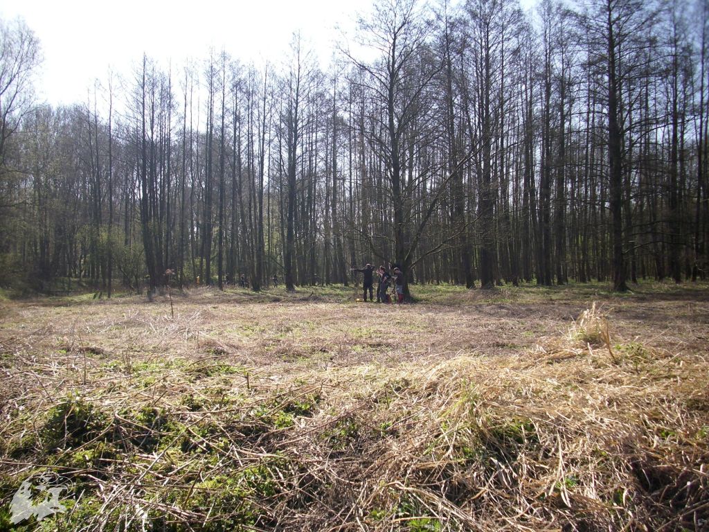 JBC-Turnier-2011-04-02 10-34-47