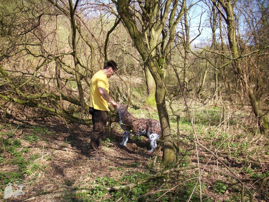 JBC-Turnier-2011-04-02 11-01-49