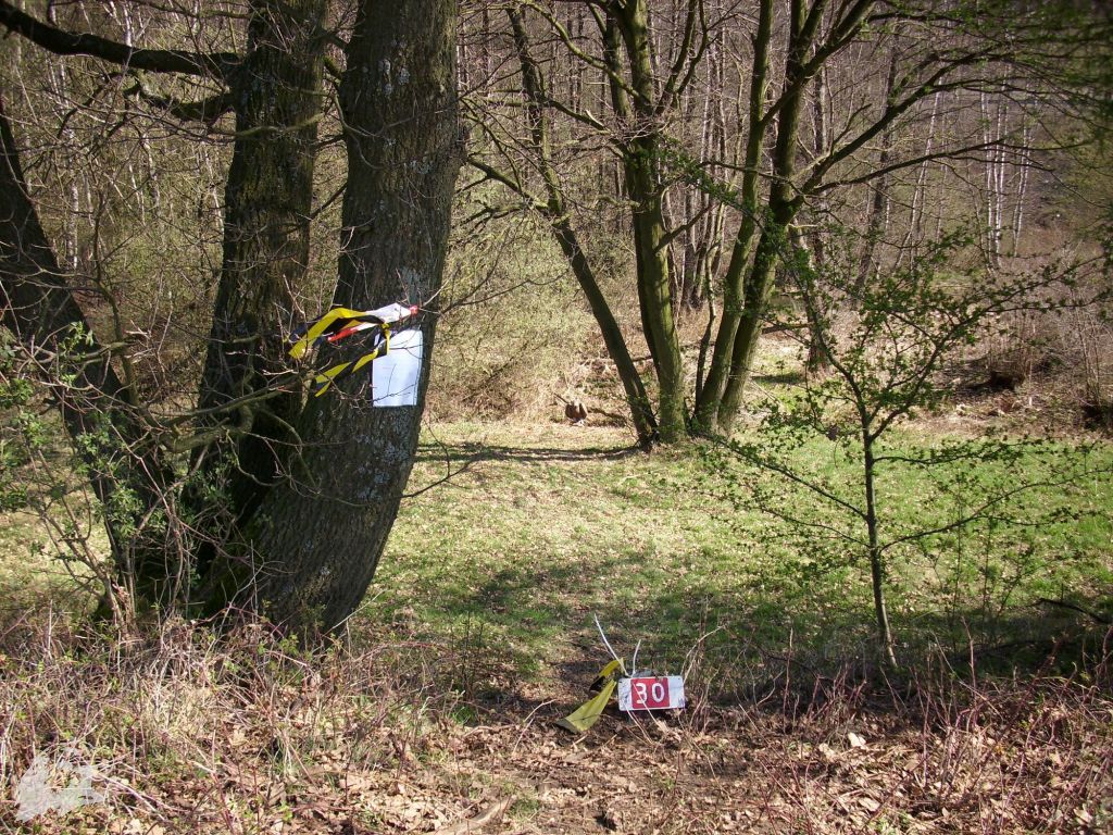 JBC-Turnier-2011-04-02 11-13-10