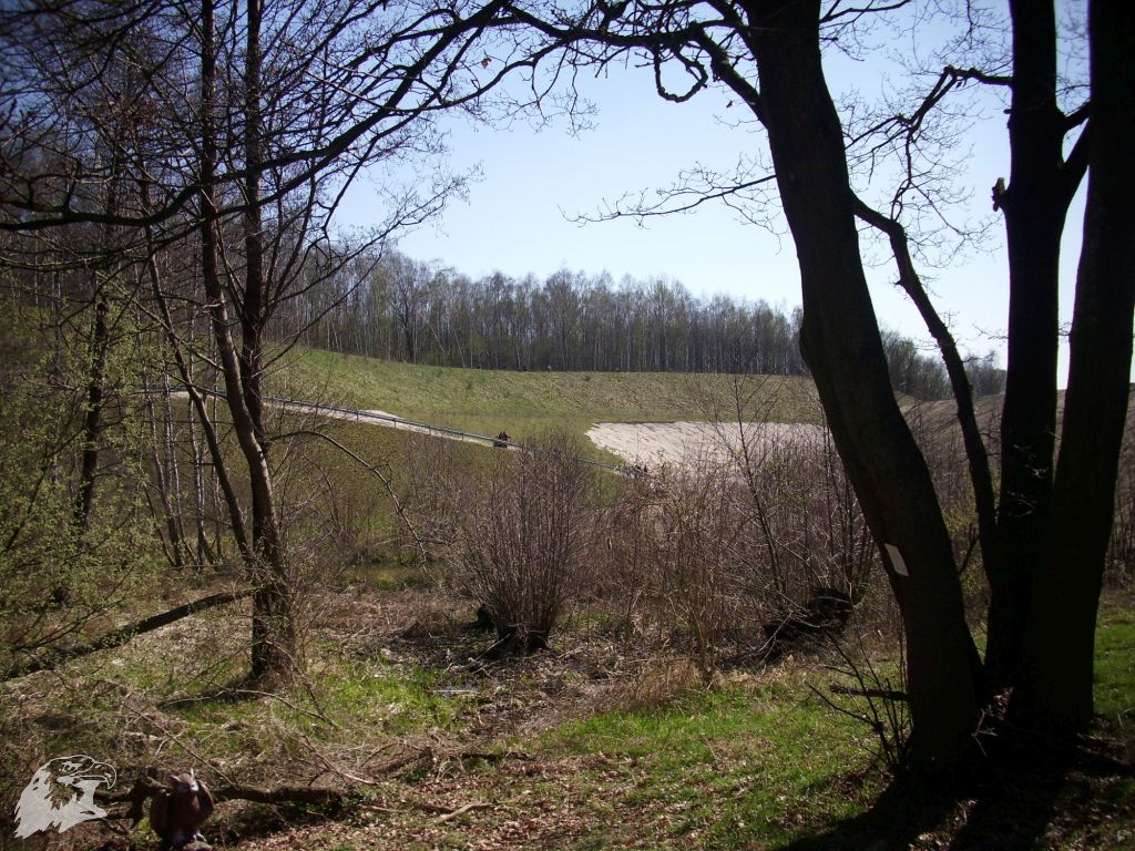 JBC-Turnier-2011-04-02 11-14-15