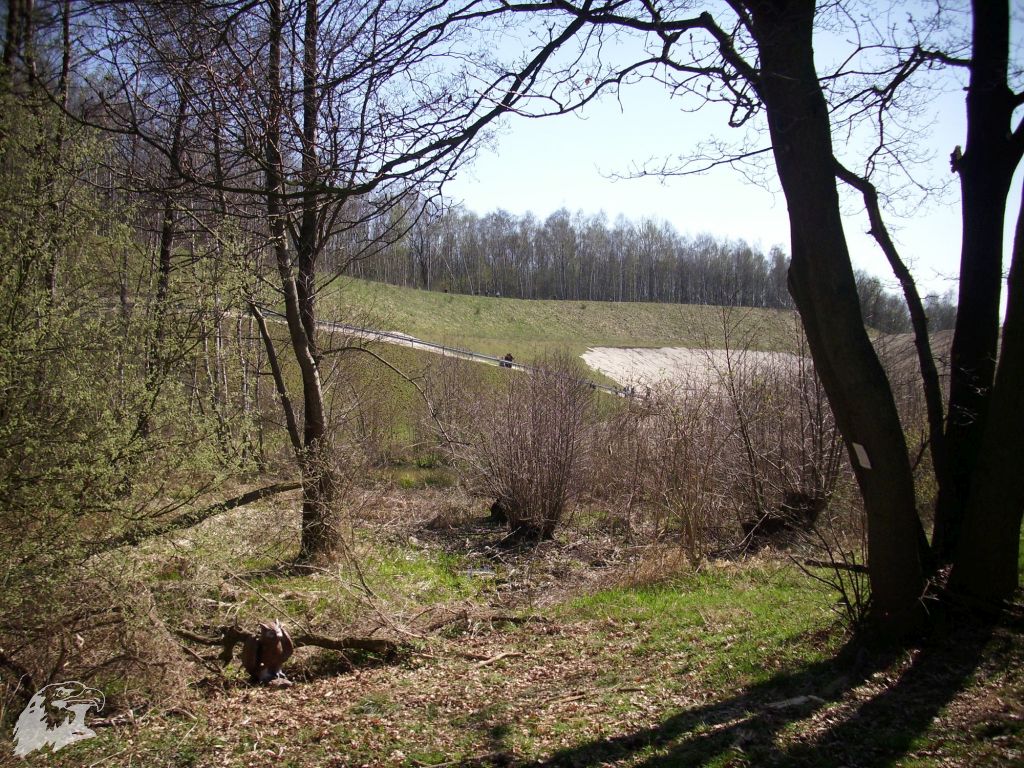 JBC-Turnier-2011-04-02 11-14-26