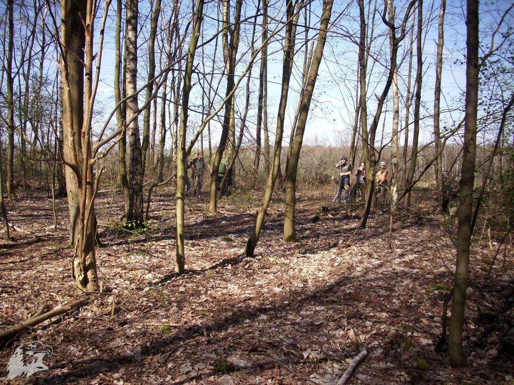 JBC-Turnier-2011-04-02 11-31-29