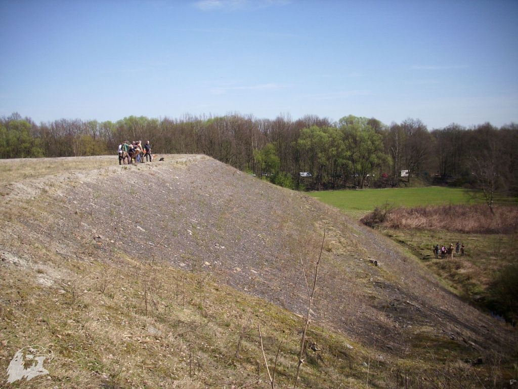 JBC-Turnier-2011-04-02 11-33-10