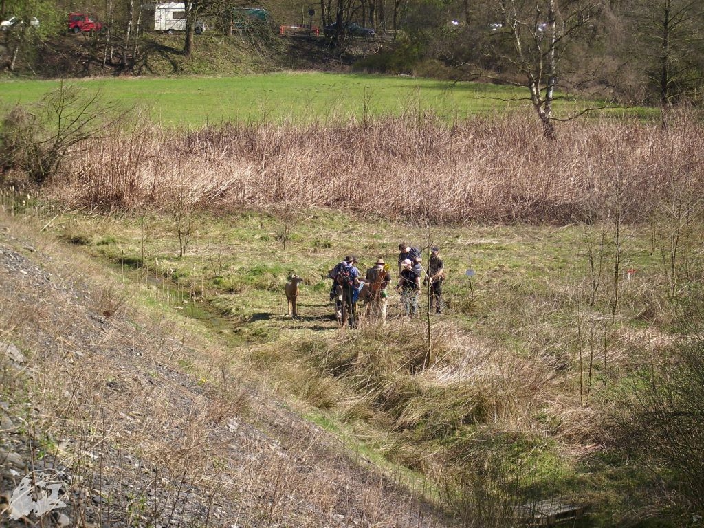 JBC-Turnier-2011-04-02 11-33-43
