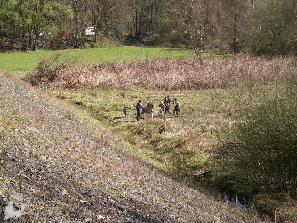 JBC-Turnier-2011-04-02 11-34-01