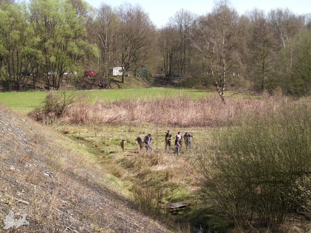 JBC-Turnier-2011-04-02 11-34-13