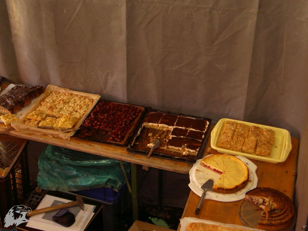 JBC-Turnier-2011-04-02 11-39-47