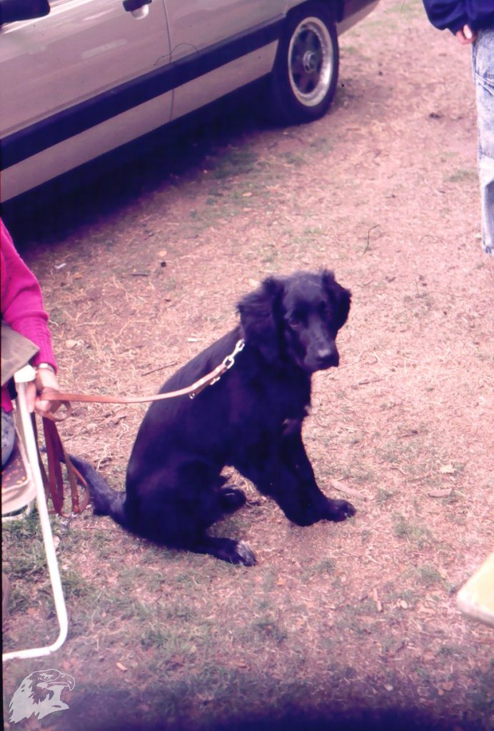 1988-05-xx-Bogenplatz-Waltrop-011