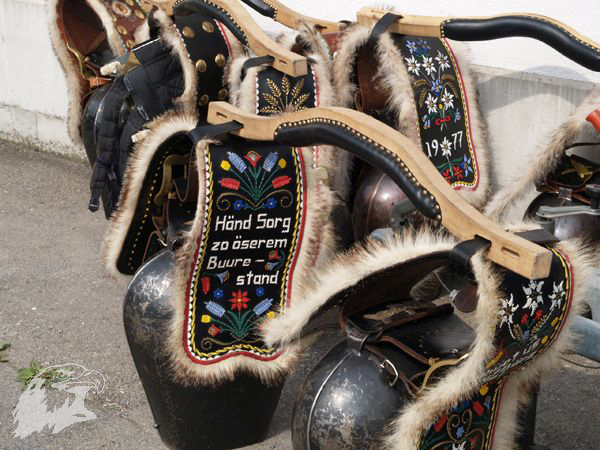 2007-07-01-WBHC-EBHC-Wildhaus-Schweiz-158