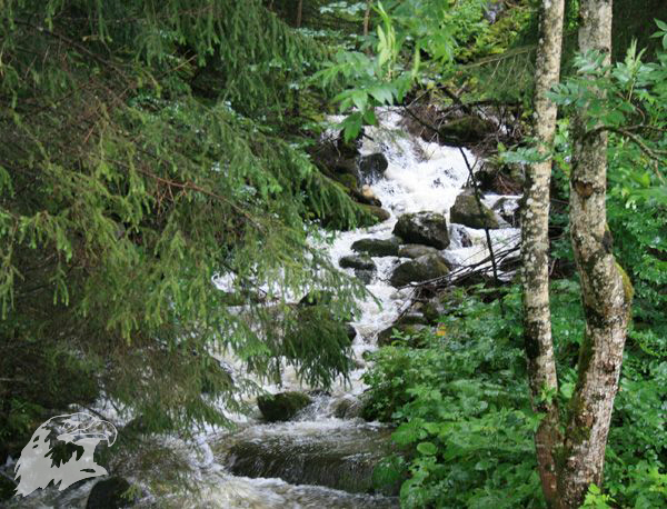 2007-07-04-WBHC-EBHC-Wildhaus-Schweiz-073