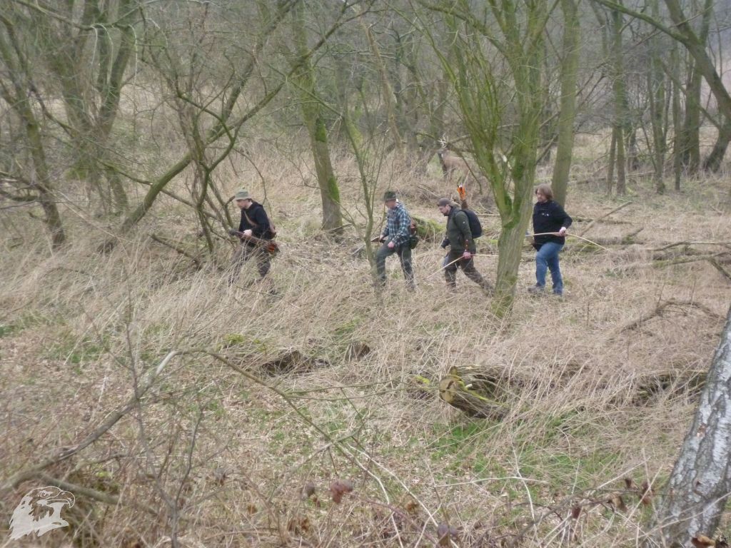 JBC-Turnier-2012-03-17 09-21-13