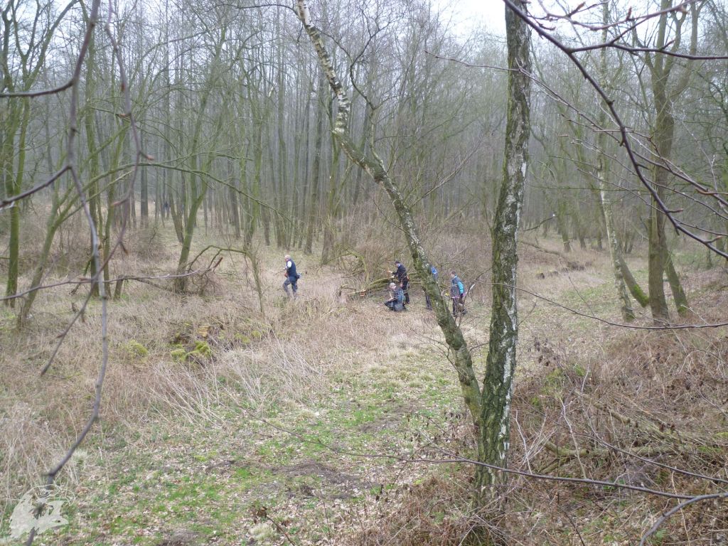 JBC-Turnier-2012-03-17 09-24-46