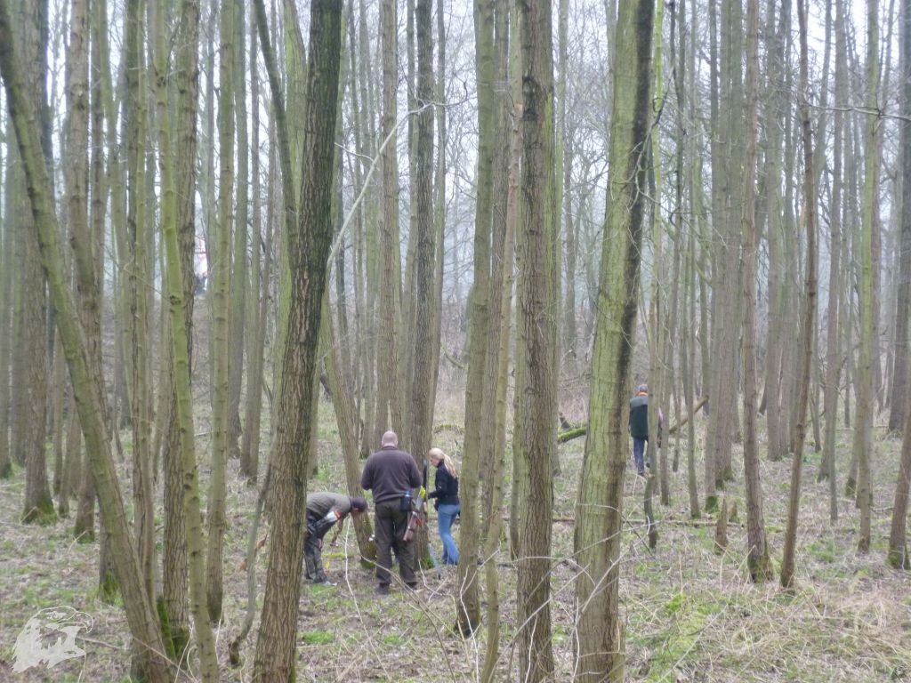 JBC-Turnier-2012-03-17 09-39-02