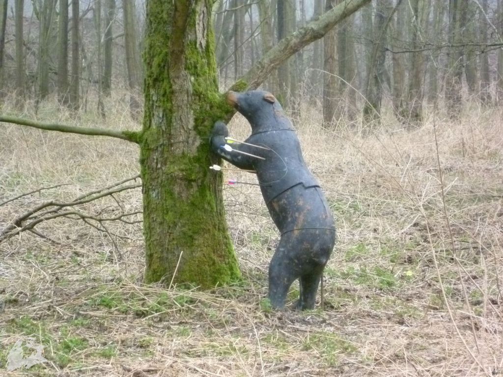 JBC-Turnier-2012-03-17 09-55-00