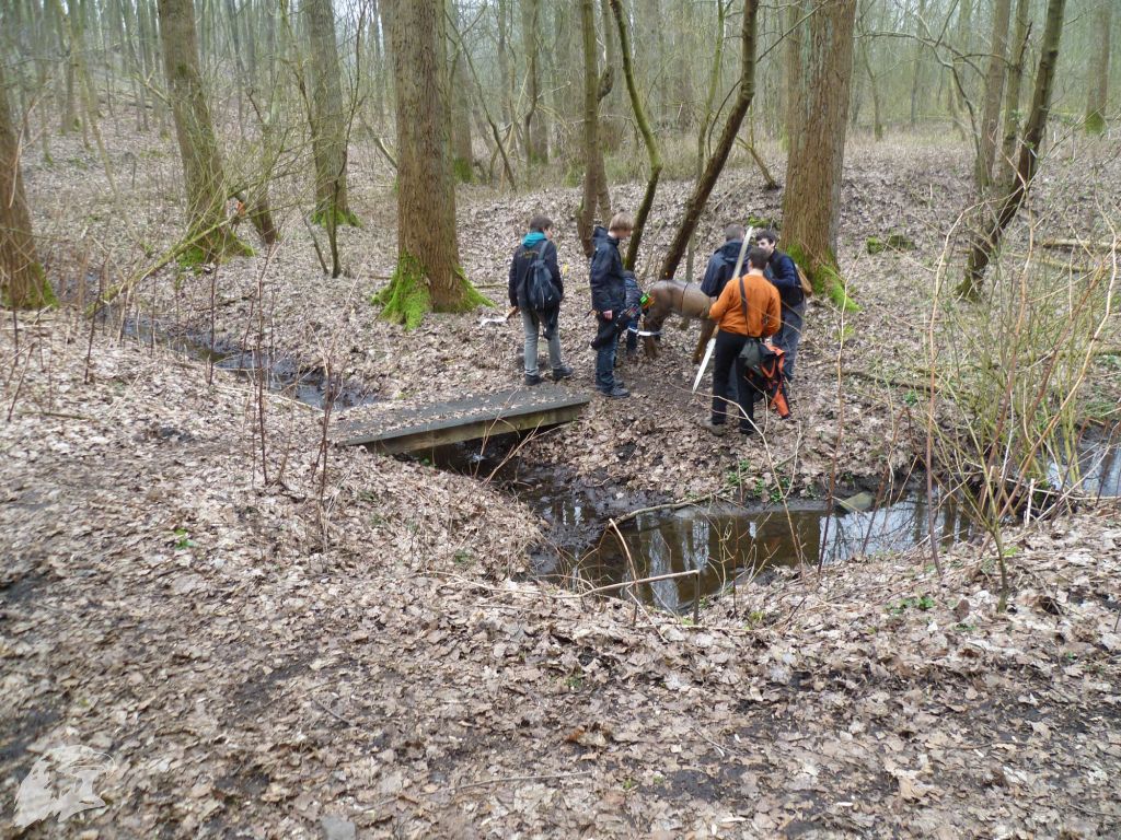 JBC-Turnier-2012-03-17 10-06-10