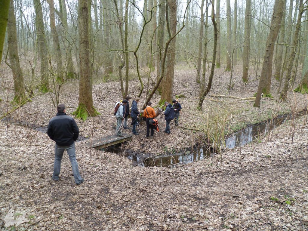 JBC-Turnier-2012-03-17 10-06-21