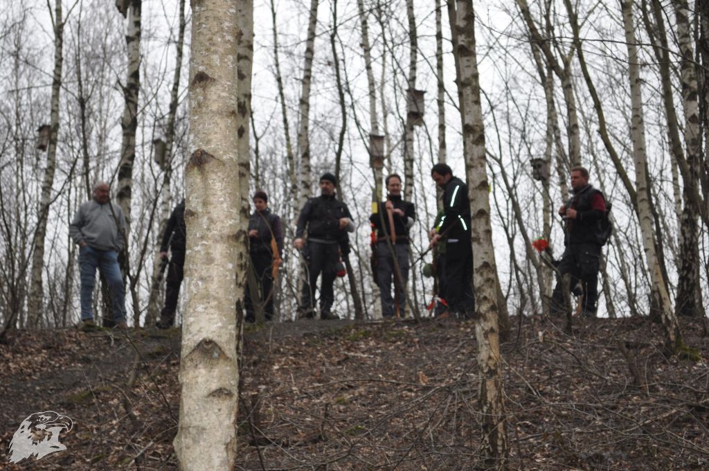 JBC-Turnier-2012-03-17 10-49-32