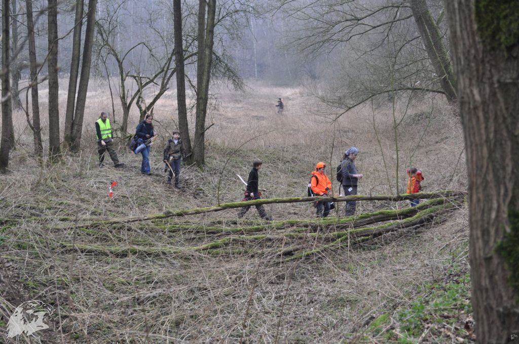 JBC-Turnier-2012-03-17 11-15-58