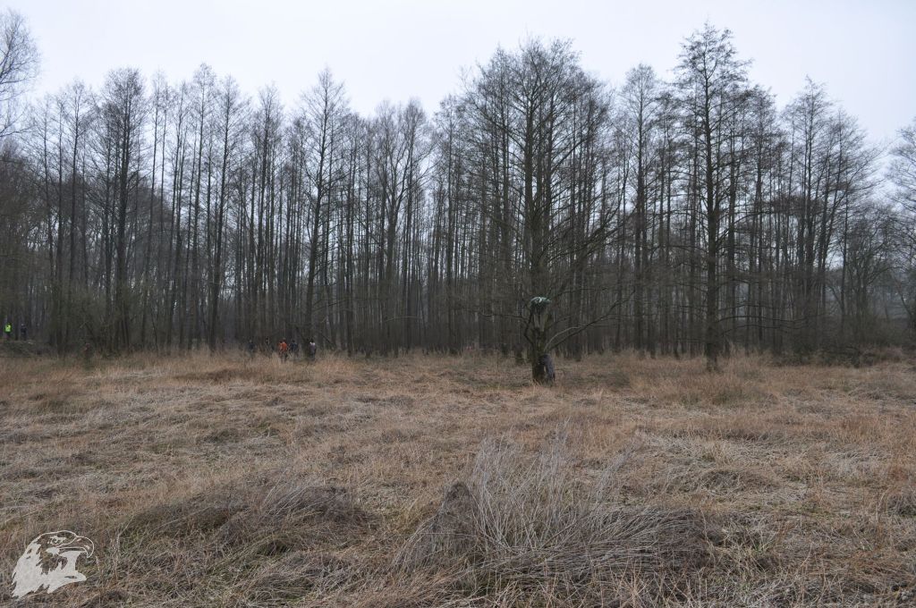 JBC-Turnier-2012-03-17 11-19-15