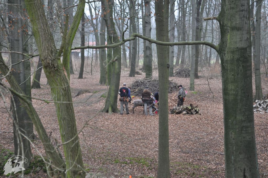 JBC-Turnier-2012-03-17 11-20-12