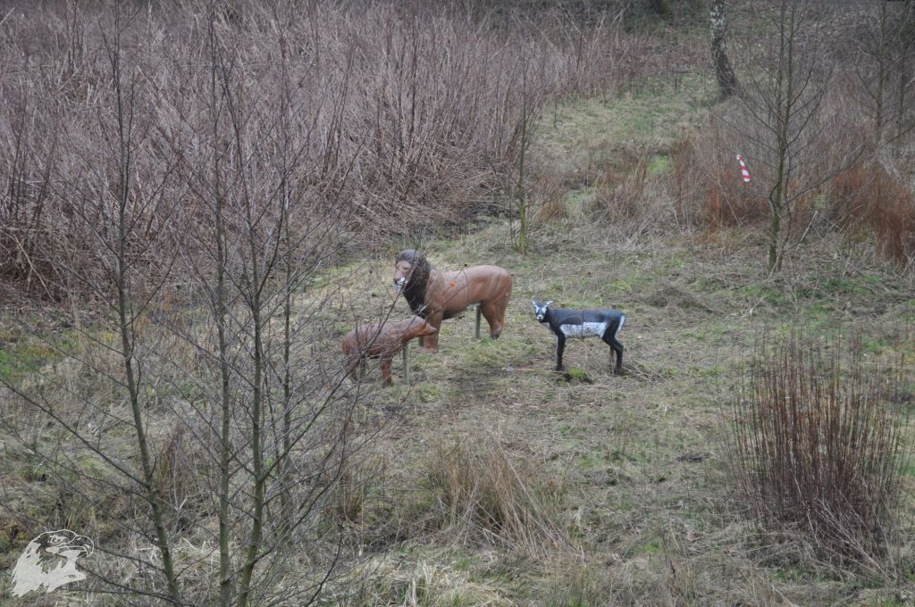 JBC-Turnier-2012-03-17 11-39-17