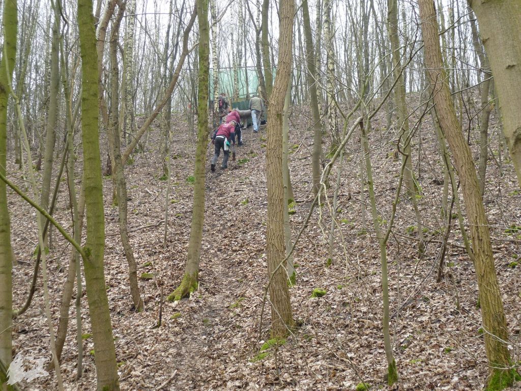 JBC-Turnier-2012-03-17 12-15-53