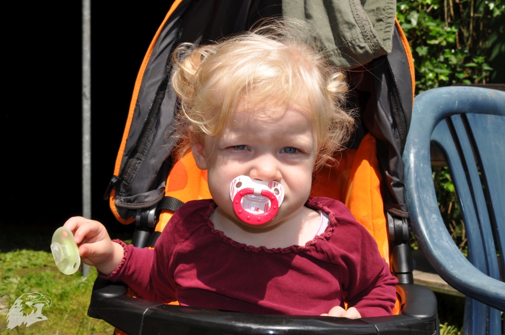 JBC-Vereinsmeisterschaft-2012-06-23 12-56-48