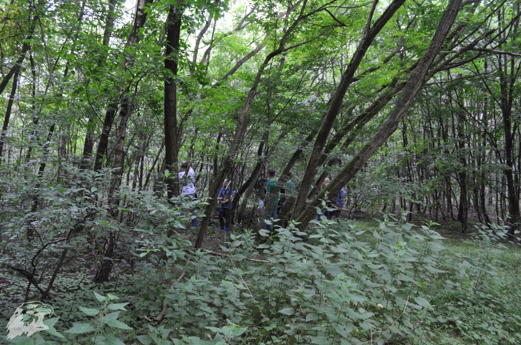 JBC-Vereinsmeisterschaft-2012-06-23 14-03-06